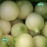 supply peeled onions